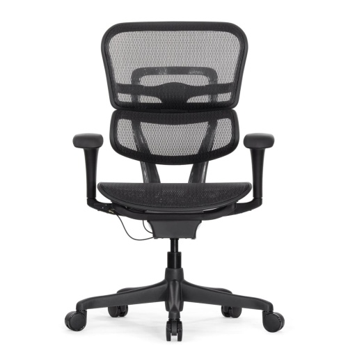 Ортопедическое кресло Falto Ergohuman 2 Project Ортопедическое кресло Falto Ergohuman 2 Project