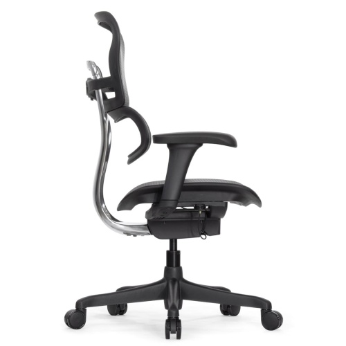 Ортопедическое кресло Falto Ergohuman 2 Project Ортопедическое кресло Falto Ergohuman 2 Project